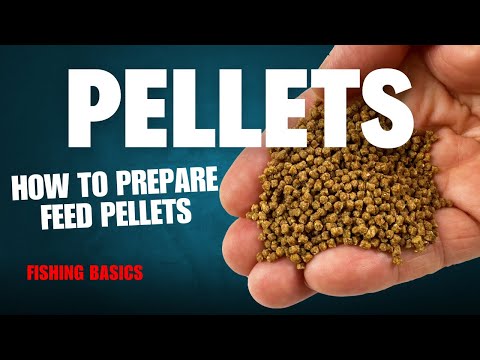 How to prepare pellets for the Method Feeder | Fishing Basics