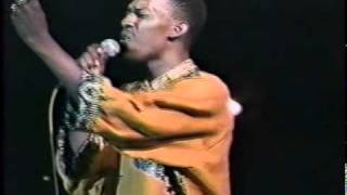 Professor Nuts live - All Schools Jam