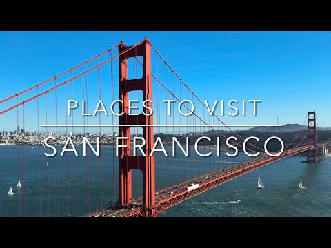 Tour San Francisco | Marine Mammal Center Tour and Marin Headlands Travel and Cruise Tips
