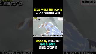 바다를 얼려버리는 아오키지의 악마의 열매 능력