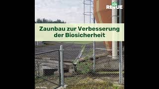 Zaunbau zur Verbesserung der Biosicherheit