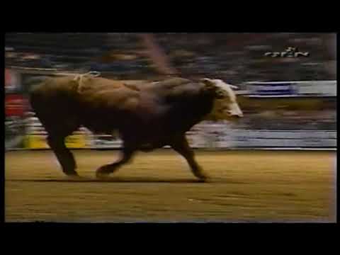 Hammer bucks Jesse Schellhamer - 03 PBR Fort Worth