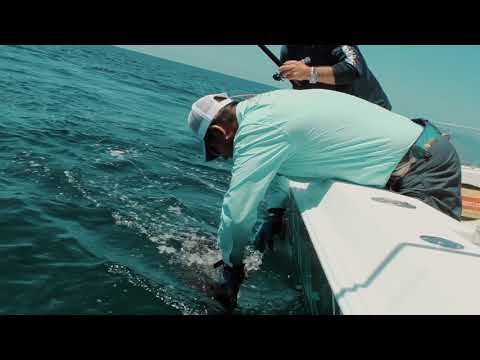 Миниатюра изображения товара Катушка мультипликаторная Okuma Tesoro / TSR-12S