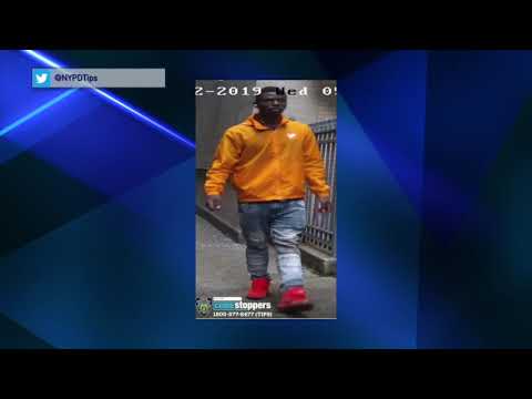 Murray Hill Burglary