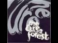 The Cure A forrest 