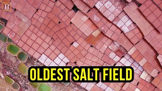 Salt Making in Thousands of Years Old Ancient Salt Fields in Mangkang Tibet | Human Documentary