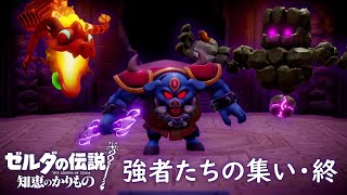 剣士モード禁止＆ノーダメージ ねむり道場『強者たちの集い・終』タイムアタック 5:36.10【ゼルダの伝説 知恵のかりもの】