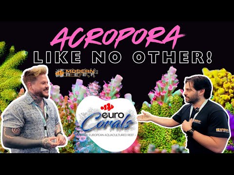 Insane Coral Farm Tour | Euro Corals Germany | Featuring Modern Reef Exclusive NEW Product