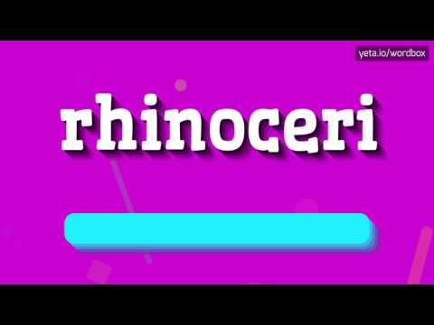 RHINOCERI - HOW TO PRONOUNCE IT!?