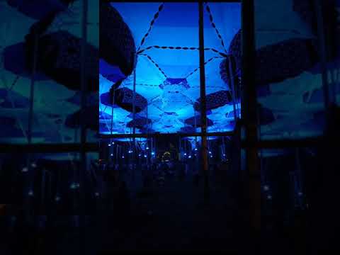 ULTRA TRANCE - 2023 - SPECIAL M.