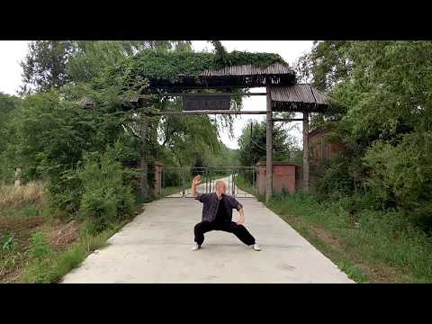 Kungfu School China - Owen Gibson Demo 2018