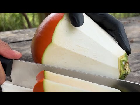 Master of Coconut Cutting: You Won’t Believe This Skill!”ASMR | video