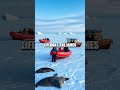 Survival on Ice: Lessons from Ernest Shackleton's Antarctic Expedition