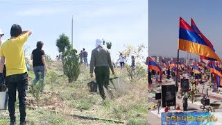 Բարդի, սոսի, ծիրանենի. «Եռաբլուր»-ում նոր ծառեր են տնկվել