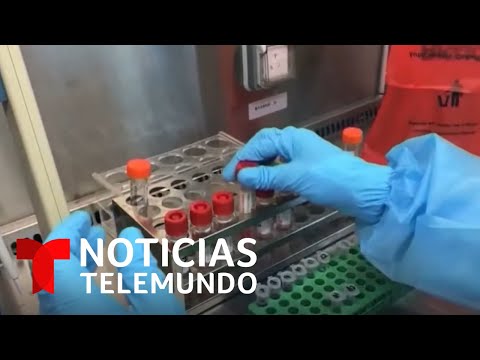 Noticias Telemundo, 2 de marzo 2020 | Noticias Telemundo