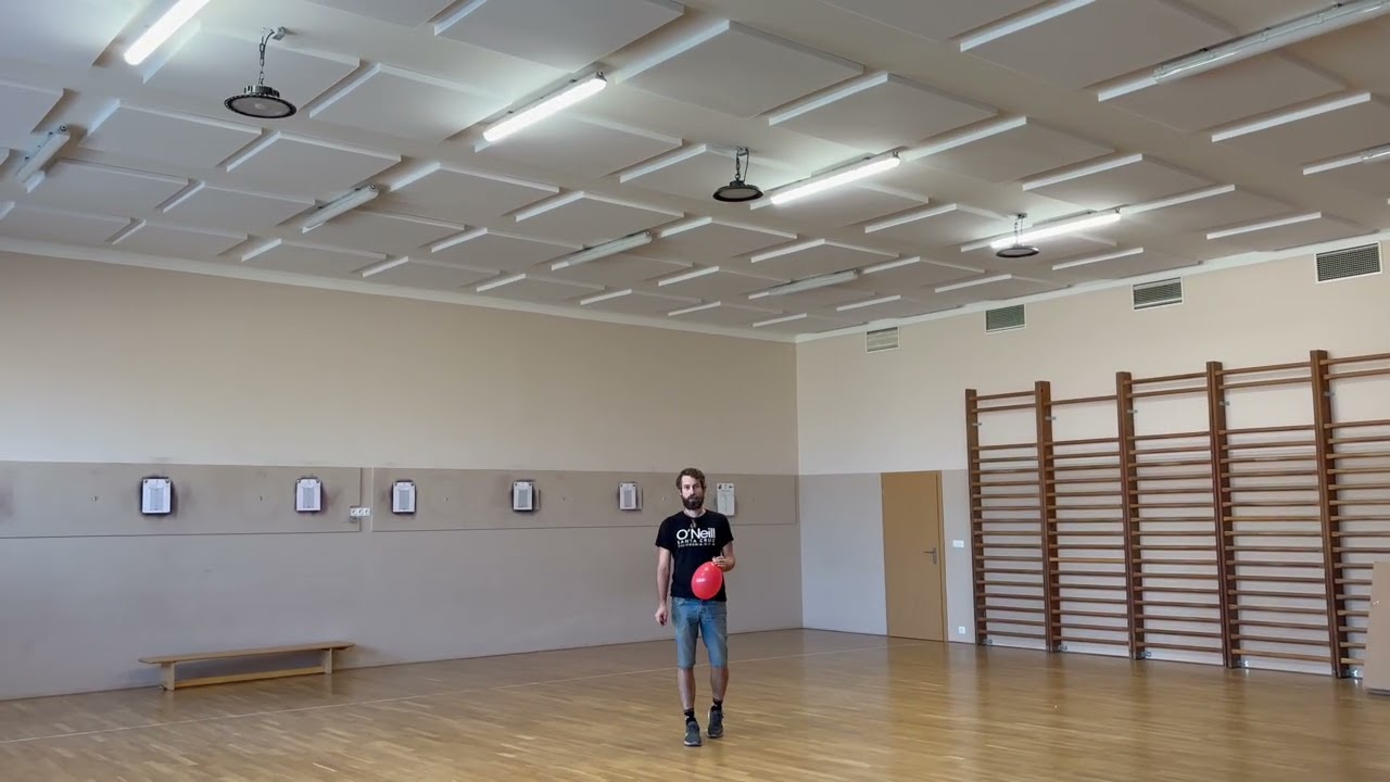 Přehrát video