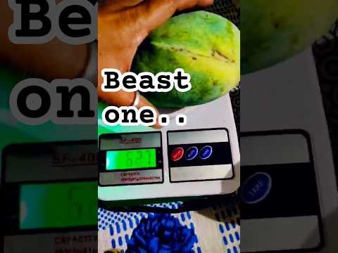 Beast in Fruits | Raw 🥭 | शिकतेय अजून