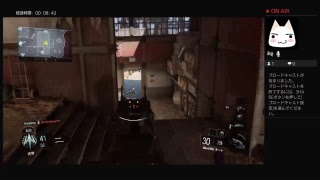[Bo3]25キルするまでやめられま10Part 2