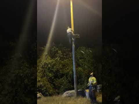 Lineman Loses His Footing While Climbing Phone Pole🤯 #fails #safetyfails #workfails #badday #safety