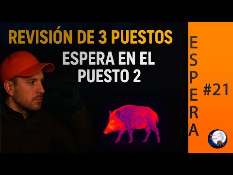 🎯 Caza del Jabalí 🐗 | Revisión de 3 puestos y espera en el puesto 2 🌙