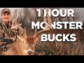 1 Hour Of The Best Deer Hunts From Monster Bucks 21 Giant Whitetail Deer Hunts