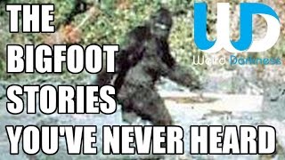 "The Bigfoot Stories You've Never Heard" #WeirdDarkness