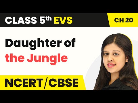 Class 5 EVS Chapter 20 | Whose Forests? - Daughter of the Jungle | Class 5 EVS NCERT