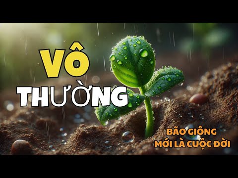 MẤT MÁT LÀ ĐIỀU CHẮC CHẮN | Bão giông mới là cuộc đời |