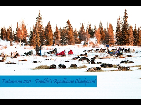 Tustumena 200 - Freddie's Roadhouse Outbound Checkpoint