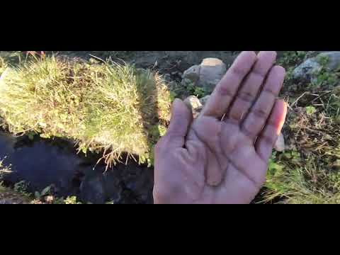 Sarabjeet Jim corbett village 