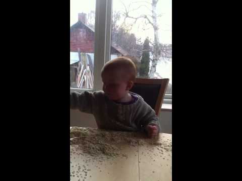 Sarah spiser havregryn