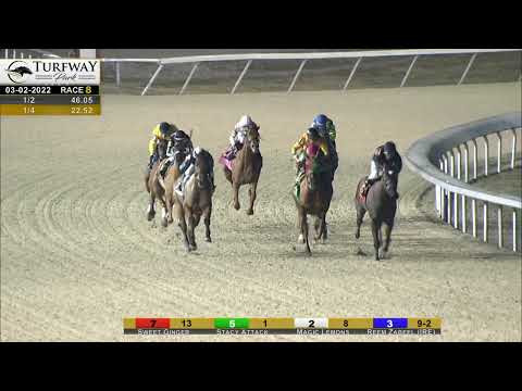 RACE 8 PROGRAM 3-2-2022