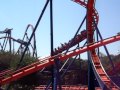 Kids At Busch Gardens
