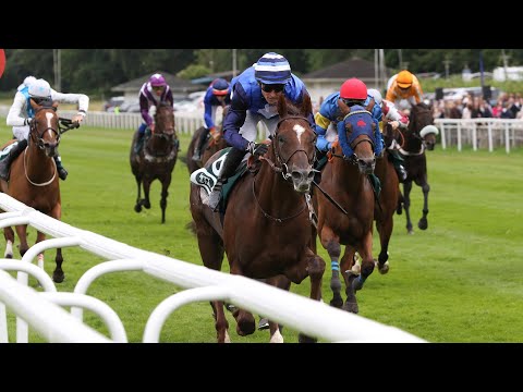 Hamburg: Preis der Mitglieder des HRC -Hamburger Flieger-Preis 2025 Sieger: Schützenzauber