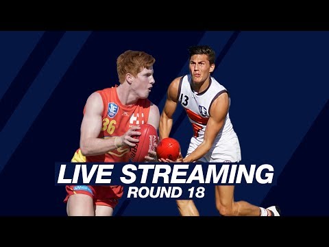 NEAFL 2017 - Gold Coast v Giants