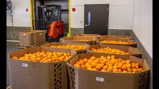 Tri-Cities 2nd Harvest receives truckloads of fresh produce for National Ag. Month