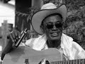 Lightnin' Hopkins-Let Me Play With Your Poodle