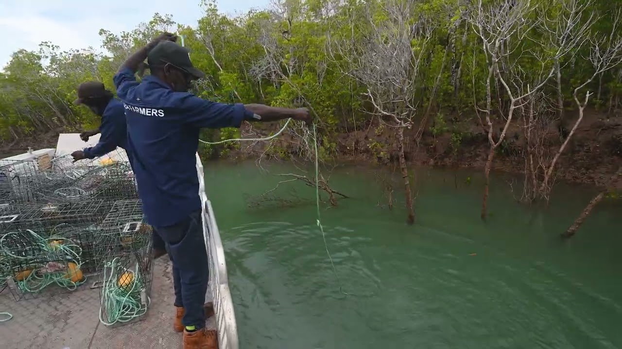Coastal Aboriginal Communities Organize to Reclaim Sovereignty in Australia’s Northern Territory
