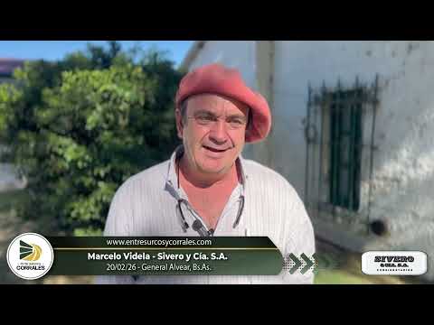 20-02-26 - Marcelo Videla - Sivero y Cía. S.A. - General Alvear, Bs.As.