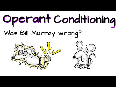 Operant Conditioning - What is it? And was Bill Murray wrong?
