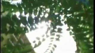 Peter Gabriel, Thomas Newman ~ Define Dancing