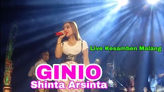 Download lagu Shinta Arsinta - GINIO - Pova Entertainment - Live Kesamben Malang - Suport By WW Audio mp3