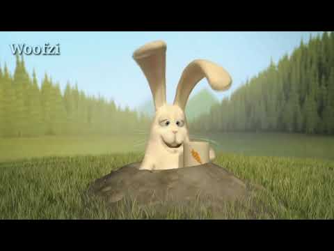 Idiots capturing mouse | mouse VS carrots | mouse VS idiots | #woofzi