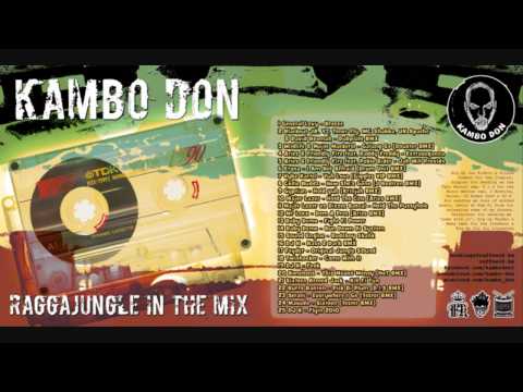 Kambo Don aka Raggamuffin Whiteman - Raggajungle In The Mix [April 2011]