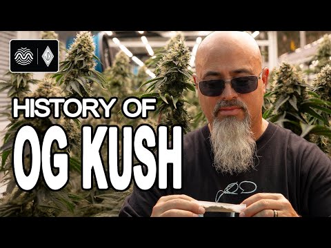 RYTHM x Josh D: The OG Kush Legacy | Cultivating Icons, Crafting Flow