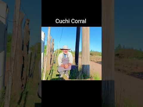 🎨 Pintando un cuadro al óleo en La Cumbre, Córdoba #turismo #arte #painting #pleinair #parapente