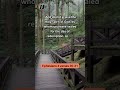 Bible Verse | Ephesians 4:30-31 | Don't Grieve The Holy Spirit #bibleverseoftheday