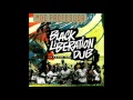 Mad Professor - Freedom Must Be Taken