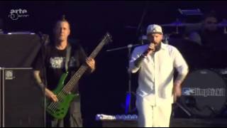 Limp Bizkit - Live Hellfest 2015