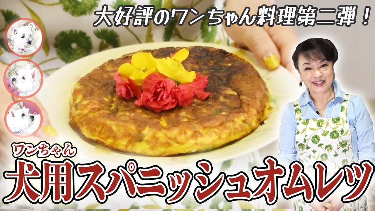 お祝いやお出かけに♩わんちゃん用スパニッシュオムレツの作り方【ジュディ・オングのレシピ】